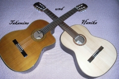 zwei Gitarren